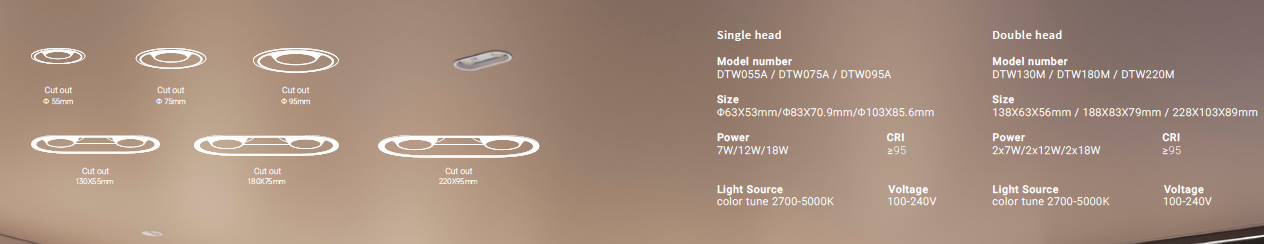 ViO Geoff DTW220M Double Head Recessed Downlight